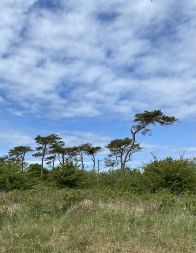 Küste 10-15 Gehminuten entfernt