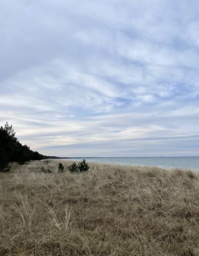 Strand in Dranske (10Min Gehweg)